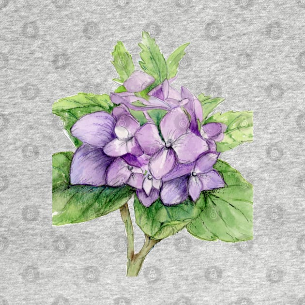 Purple Hydrangea by racheldwilliams